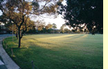 Feld