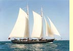 Segeln